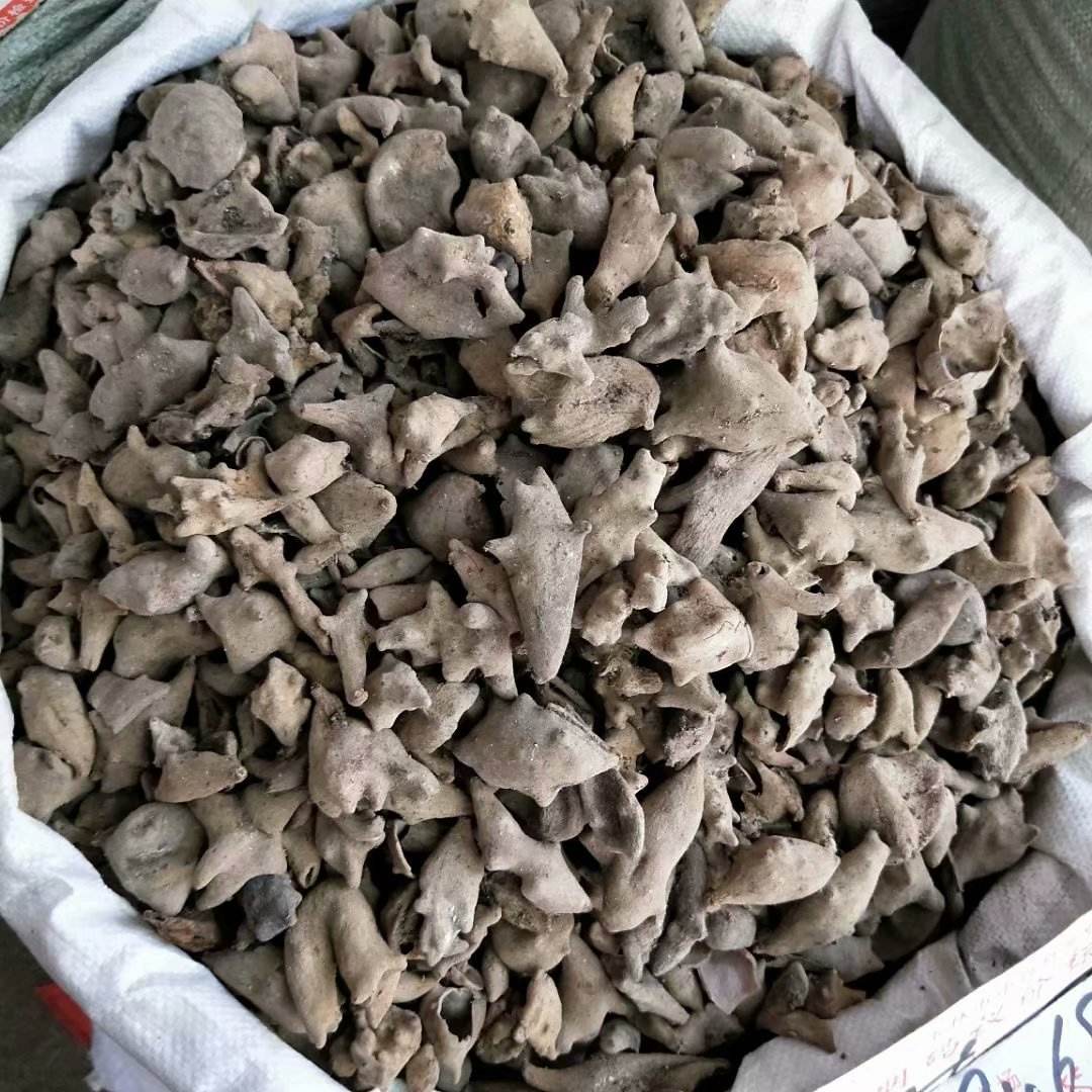五倍子的功效与作用五倍子
