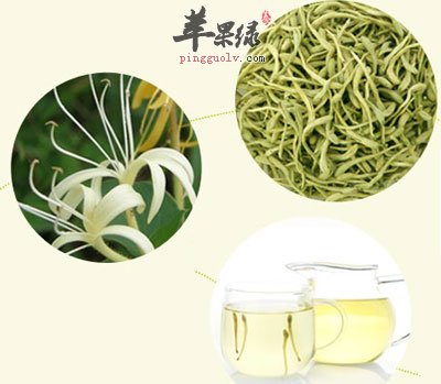 山楂丹参菊花金银花的功效作用金银花的功效作用