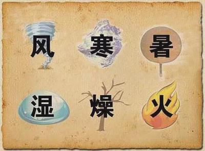 小孩秋季养生小常识小儿秋季养生