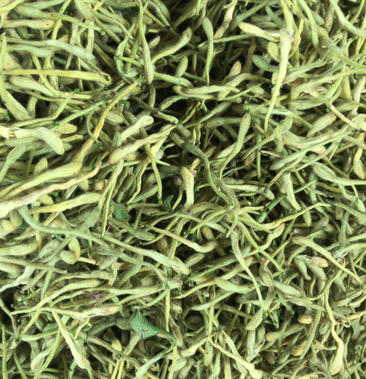 金银花产地分布,今年长势,金银花的产地和价格