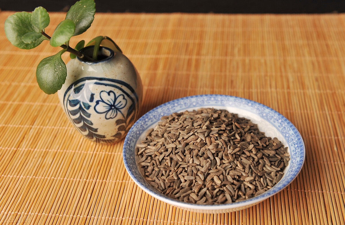 牛蒡子,牛蒡子的功效与作用主要治什么病