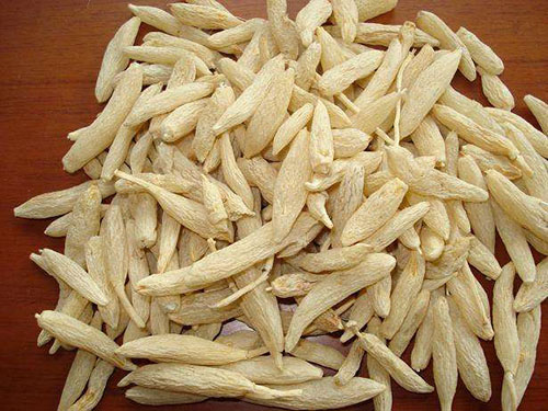 麦冬的作用和功效,麦冬
