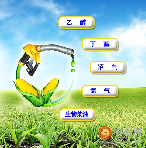 甲醇和乙醇有什么区别?工业酒精叫什么?,甲醇和乙醇有什么区别