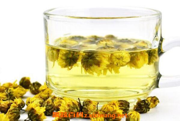 菊花泡水喝的功效与作用及禁忌西藏雪菊花泡水喝的功效与作用及禁忌