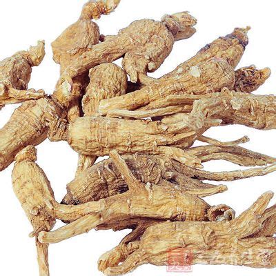黄芪的功效与副作用及禁忌,黄芪的功效
