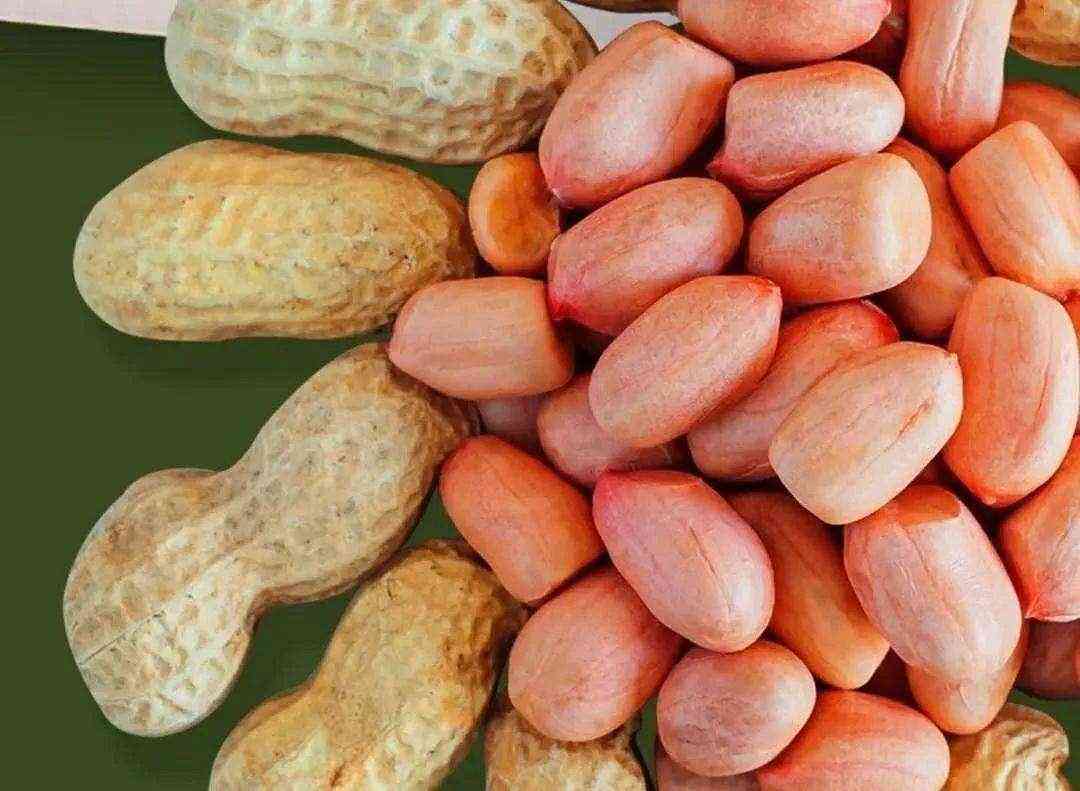 养胃吃哪种花生米好,养胃吃什么食物最好花生米
