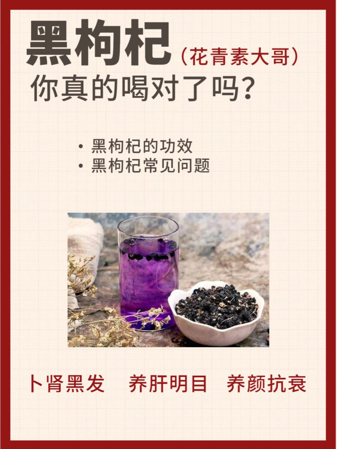 西洋参加菊花加枸杞泡水喝的功效菊花加枸杞泡水喝的功效
