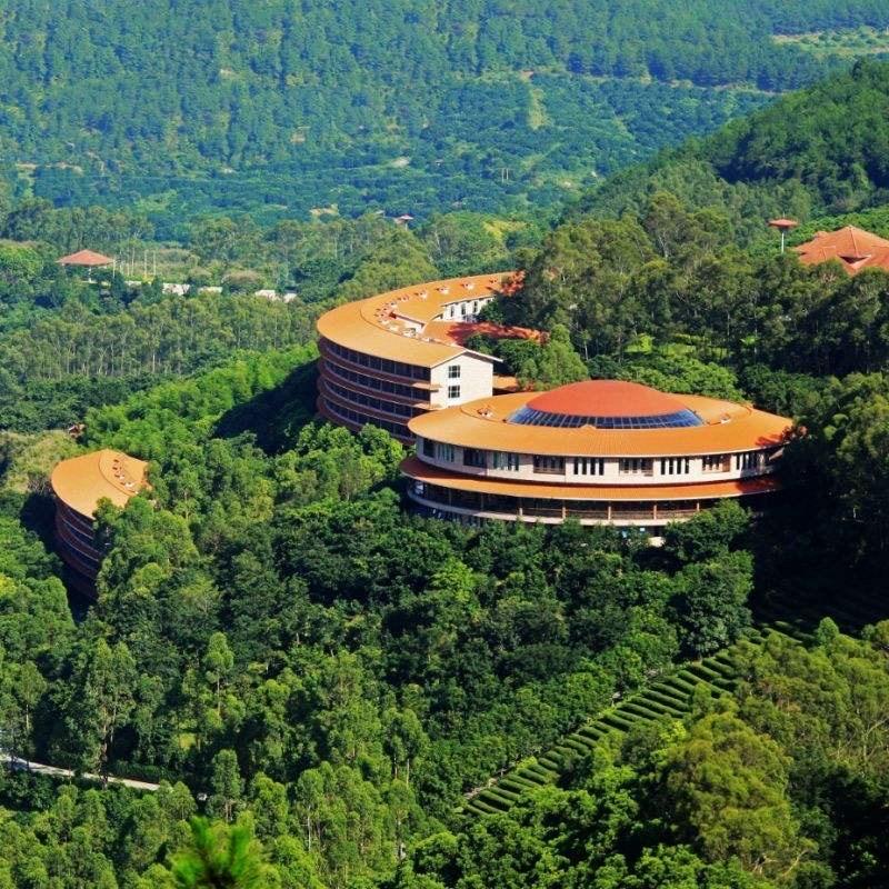 雁南飞茶田度假村攻略雁南飞茶田度假村