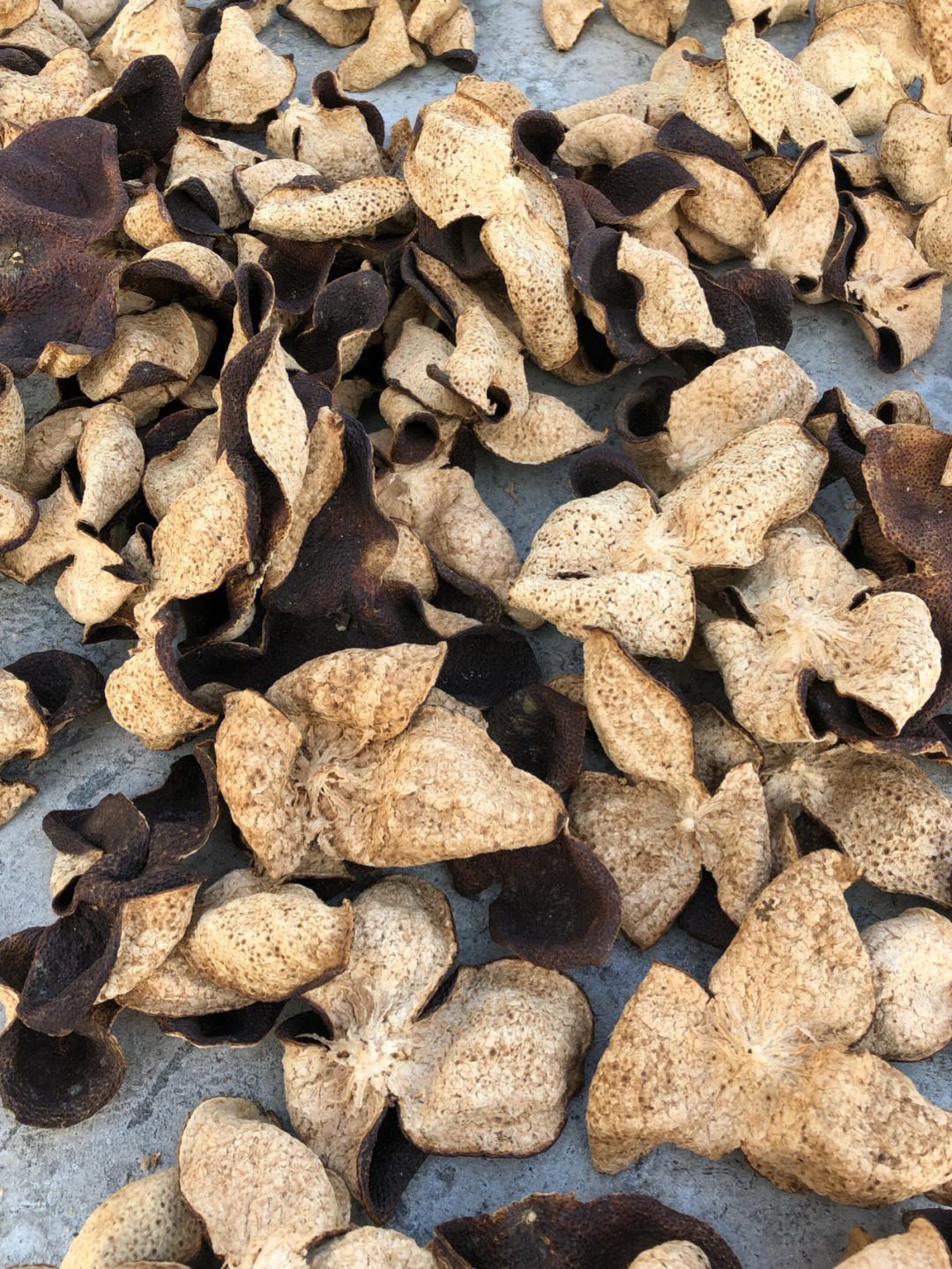 陈皮到底是什么水果的皮,陈皮是什么果子皮?