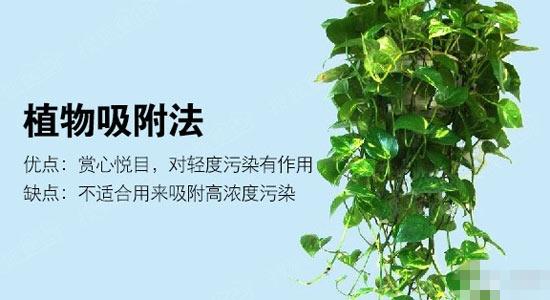 清除甲醛的有效方法是什么,清除甲醛的有效方法