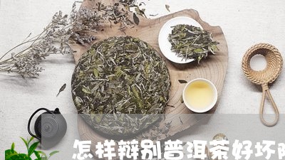 陈皮茶功效与作用及禁忌,陈皮茶功效与作用及禁忌是什么