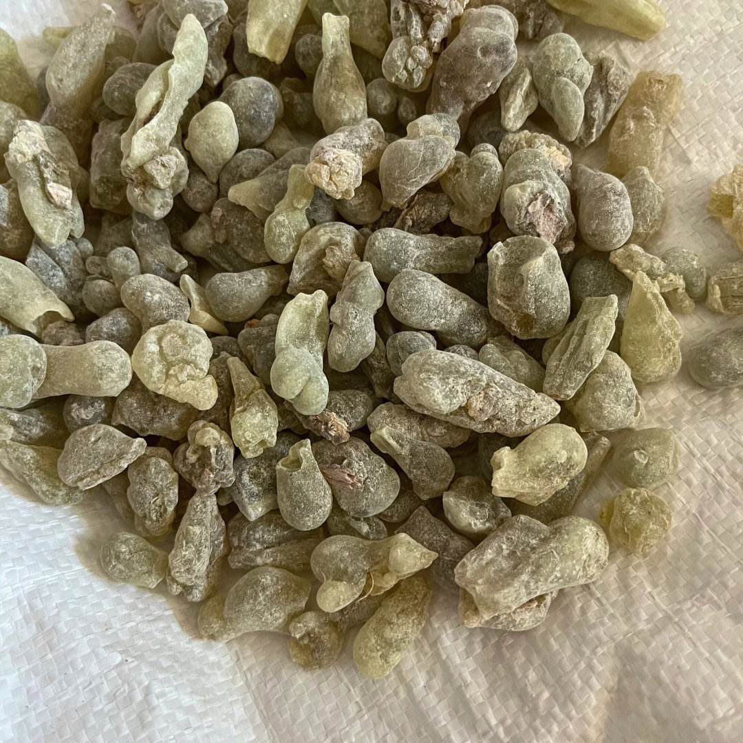 乳香乳香没药