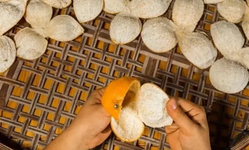 所有的橘子皮都可以做陈皮吗所有的橘子皮都可以做陈皮吗为什么