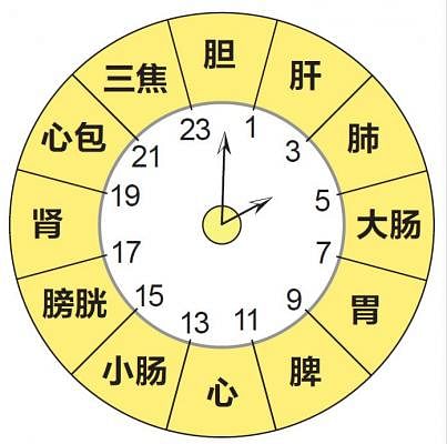 时辰与养生时辰与养生图