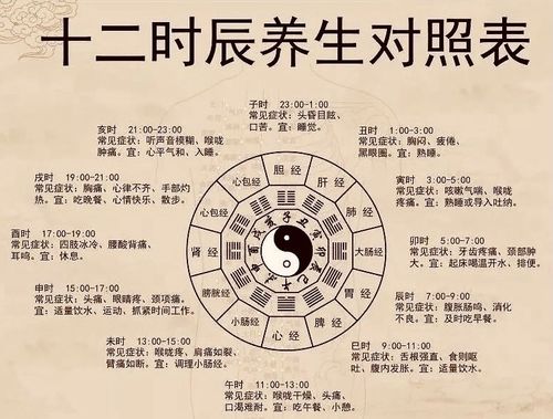 时辰与养生时辰与养生图