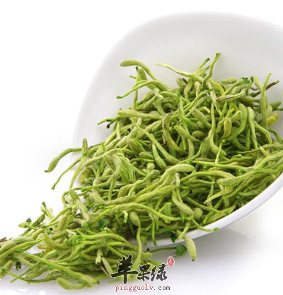 金银花功效与作用及禁忌症有啥金银花功效