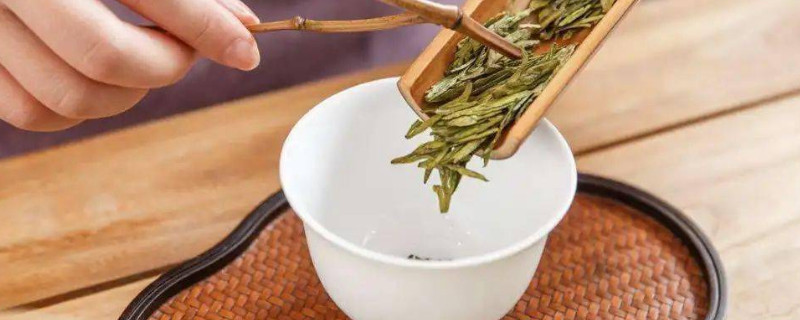 西湖龙井茶怎么冲泡最好,怎样泡龙井茶