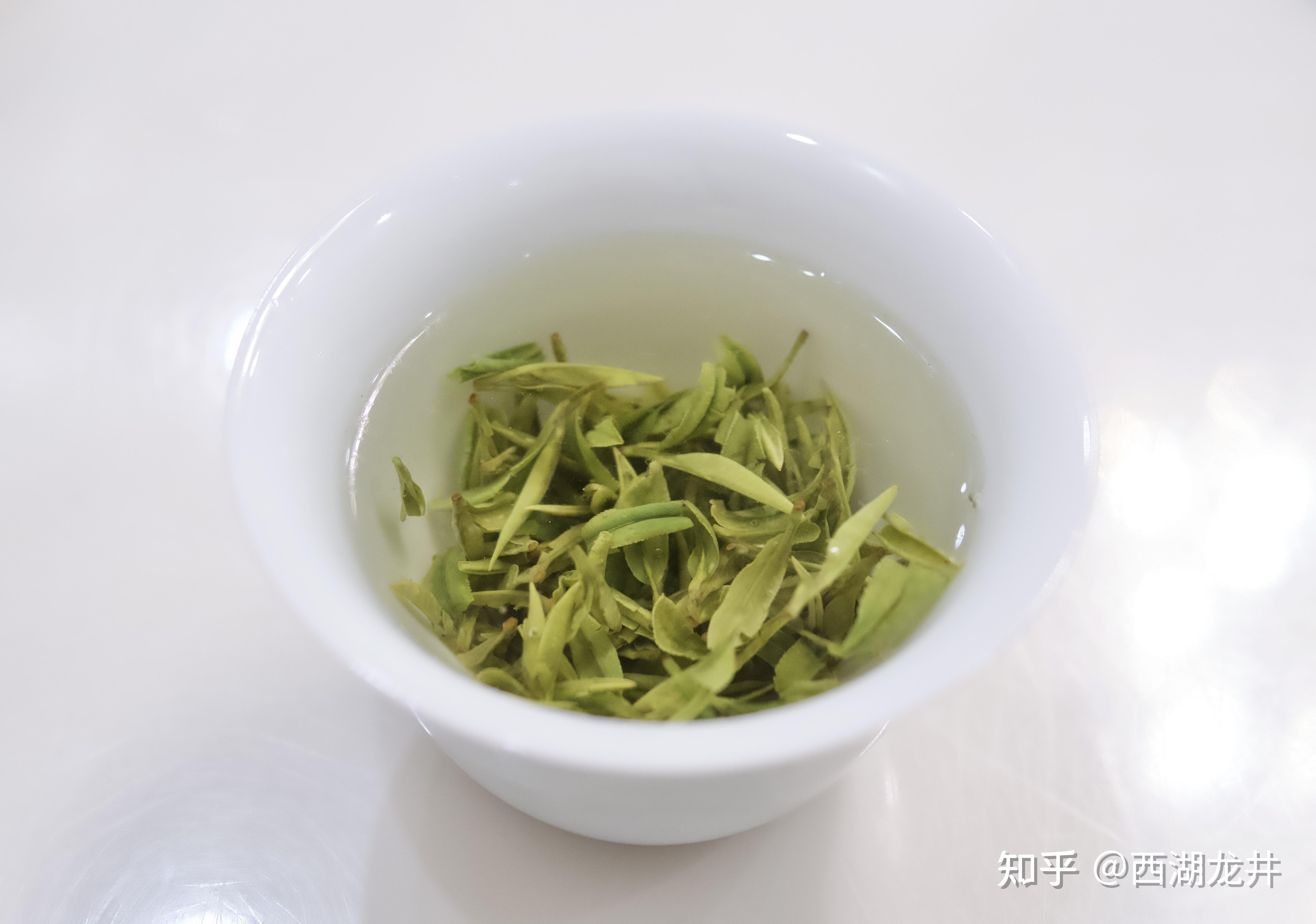 龙井茶泡法龙井茶冲泡方法