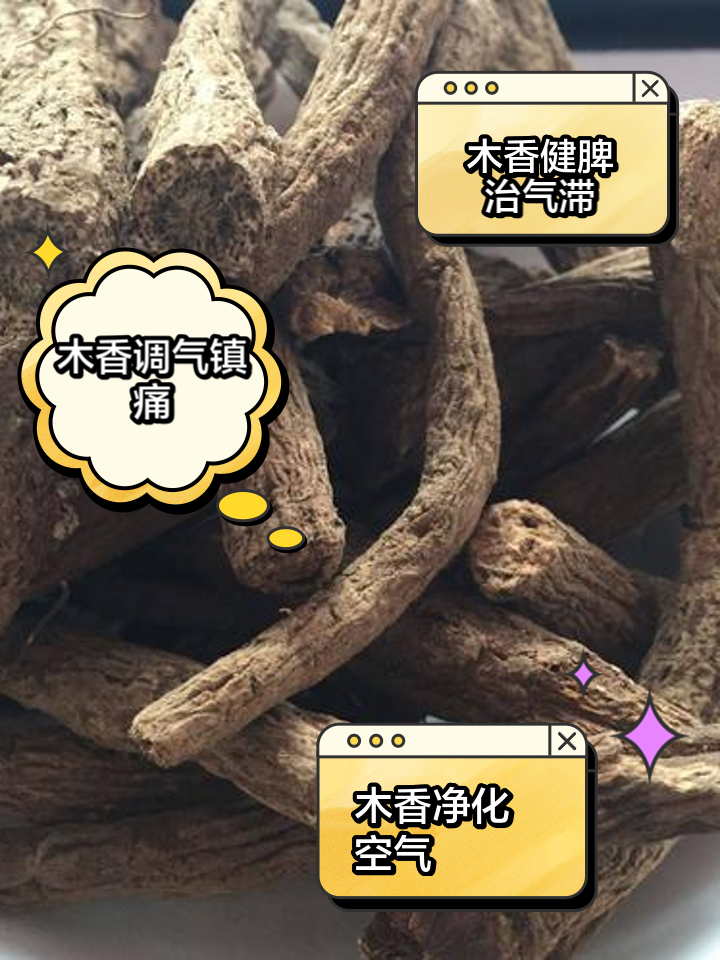 云木香图片大全云木香