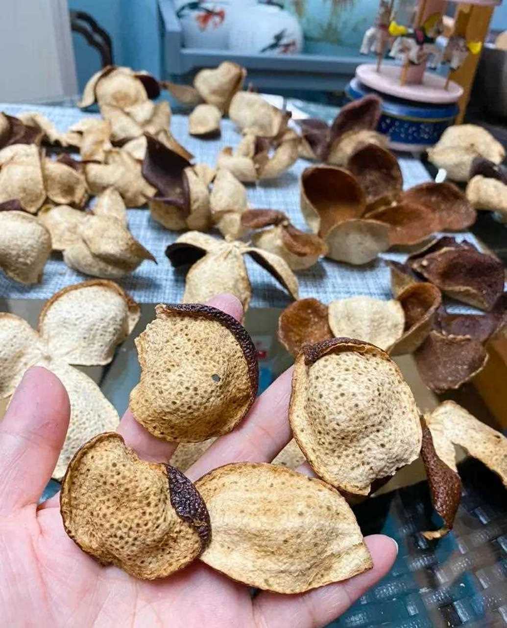 陈皮是什么果子的皮好,陈皮是什么水果的皮 新闻