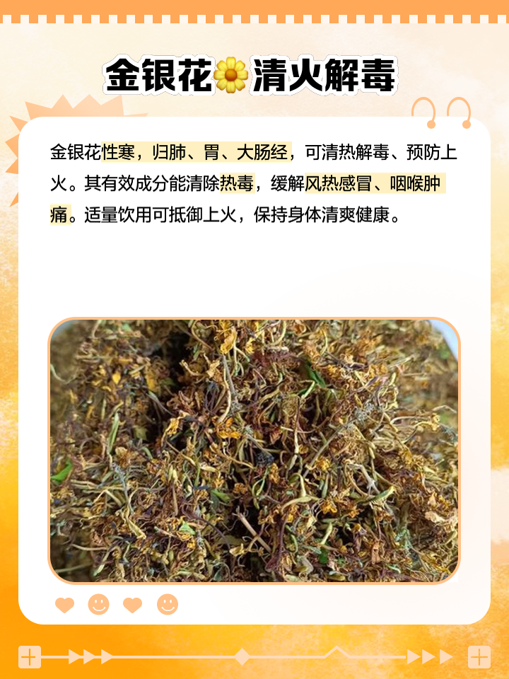 包含金银花的功效与作用养肝的词条