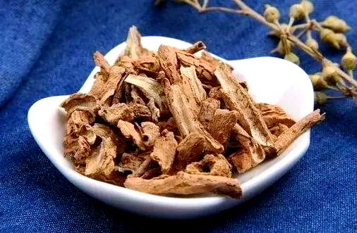 地骨皮别名地骨皮