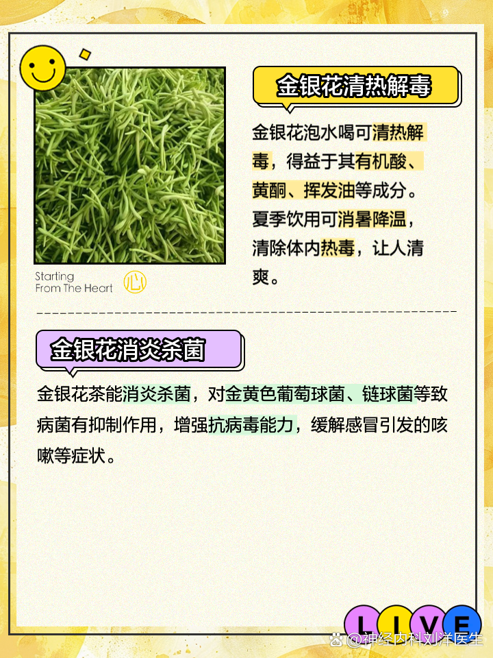 金银花泡水的副作用与禁忌,金银花泡水喝有什么副作用没有?