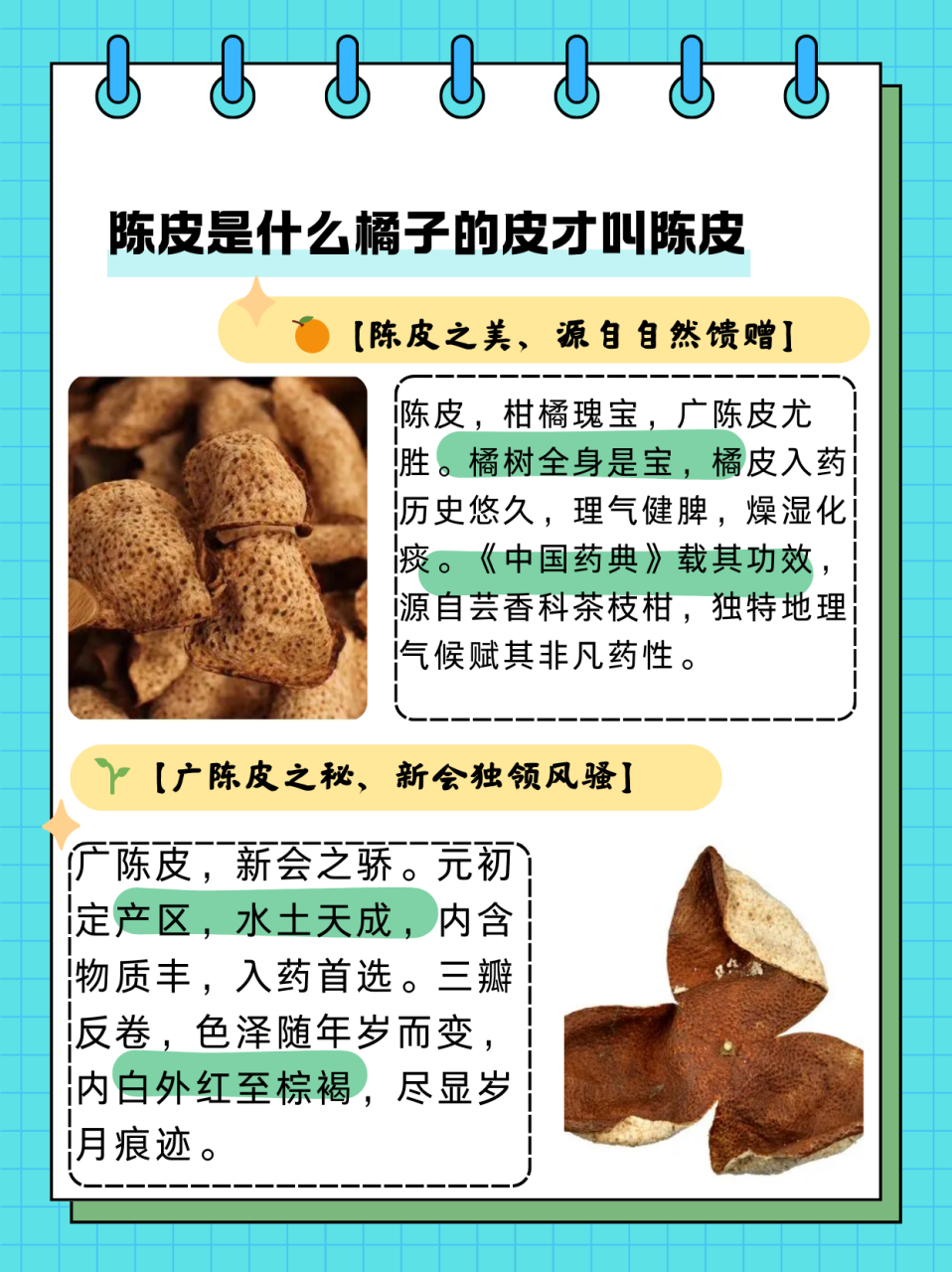 橘子皮和陈皮有啥区别陈皮和橘子皮有什么区别?