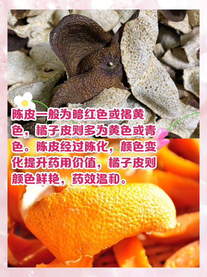 橘子皮和陈皮有啥区别陈皮和橘子皮有什么区别?