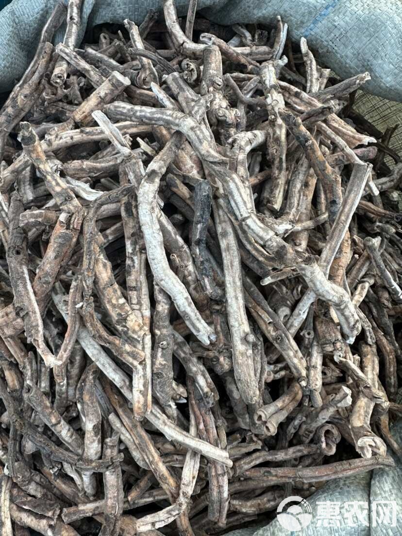 丹皮酚丹皮