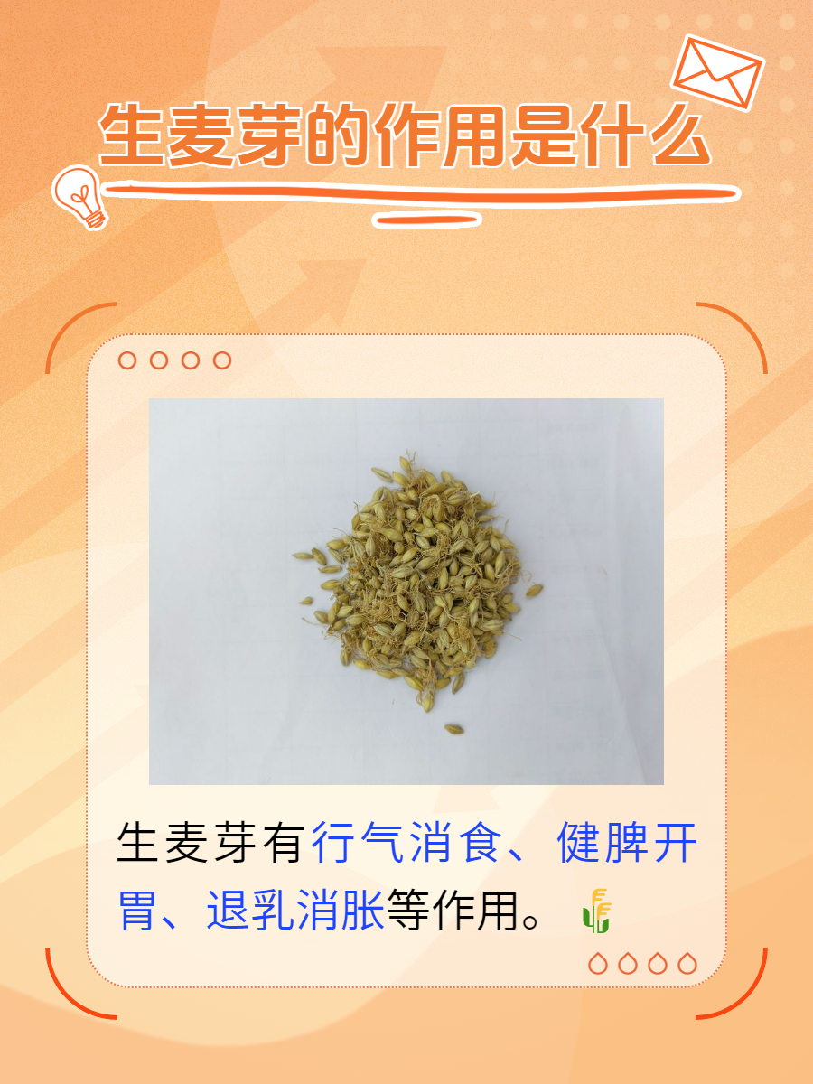 生麦芽图片,生麦芽