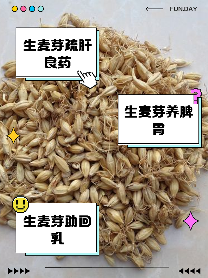 生麦芽图片,生麦芽