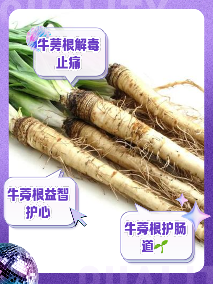 牛蒡根的功效与作用及图片,牛蒡根的功效与作用