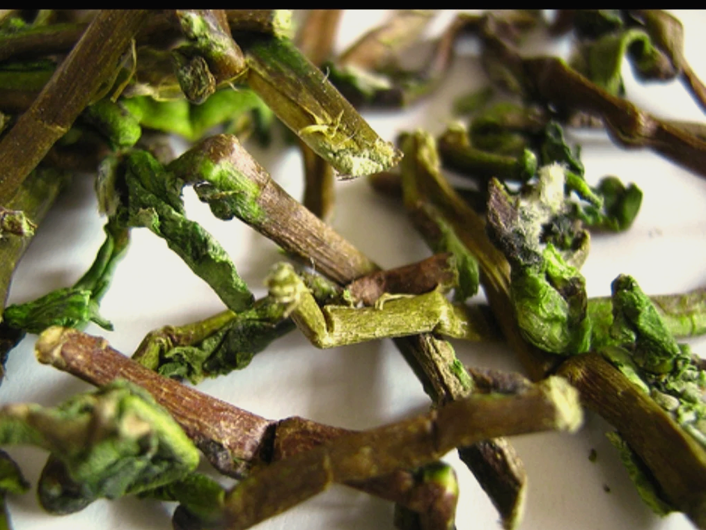 蜜柑草蜜柑草的功效与作用