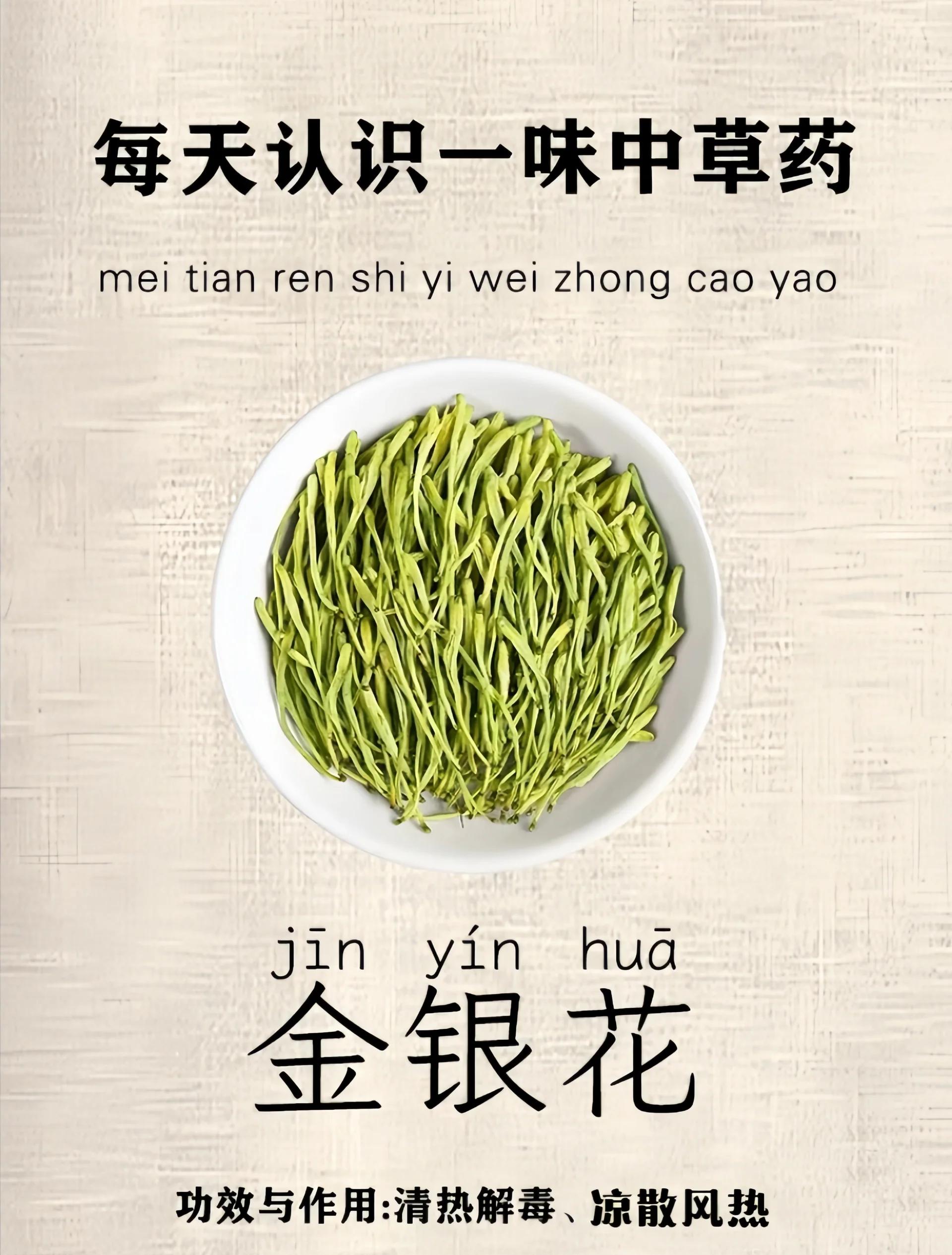 金银花一次放几根,金银花对男人性功能有效吗