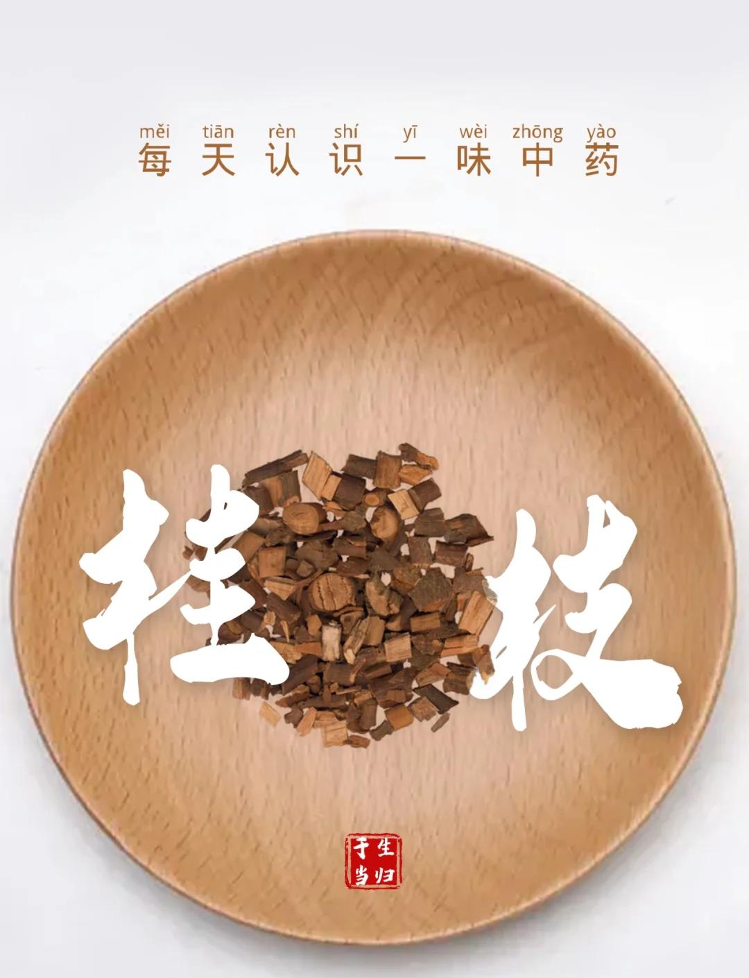 桂枝的功效和主治桂皮药用功效和作用