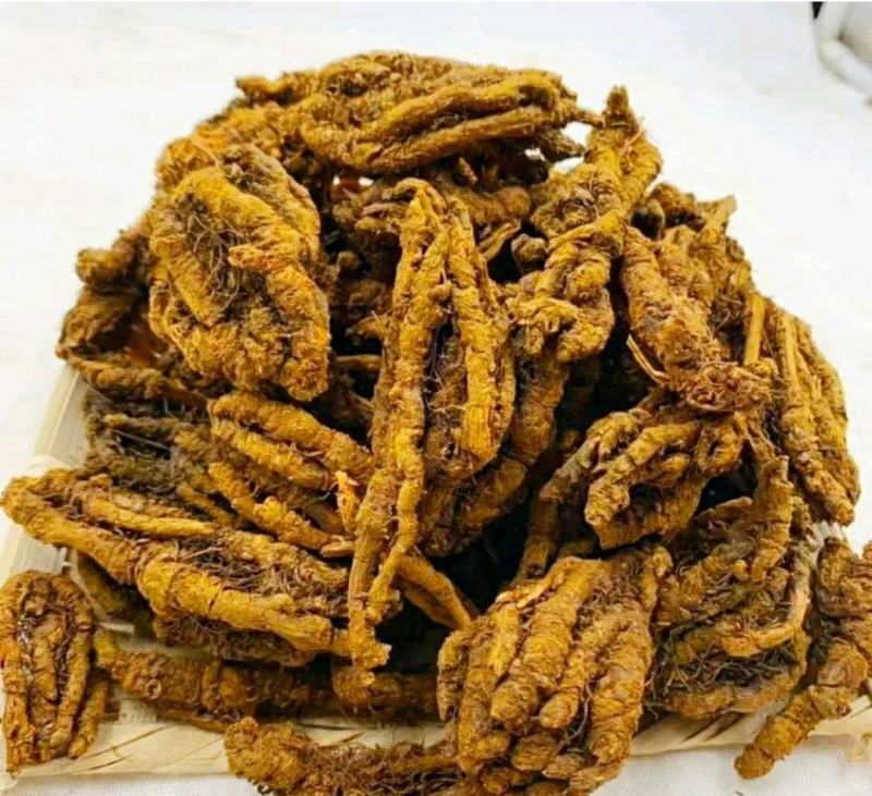 黄连的功效与作用黄连