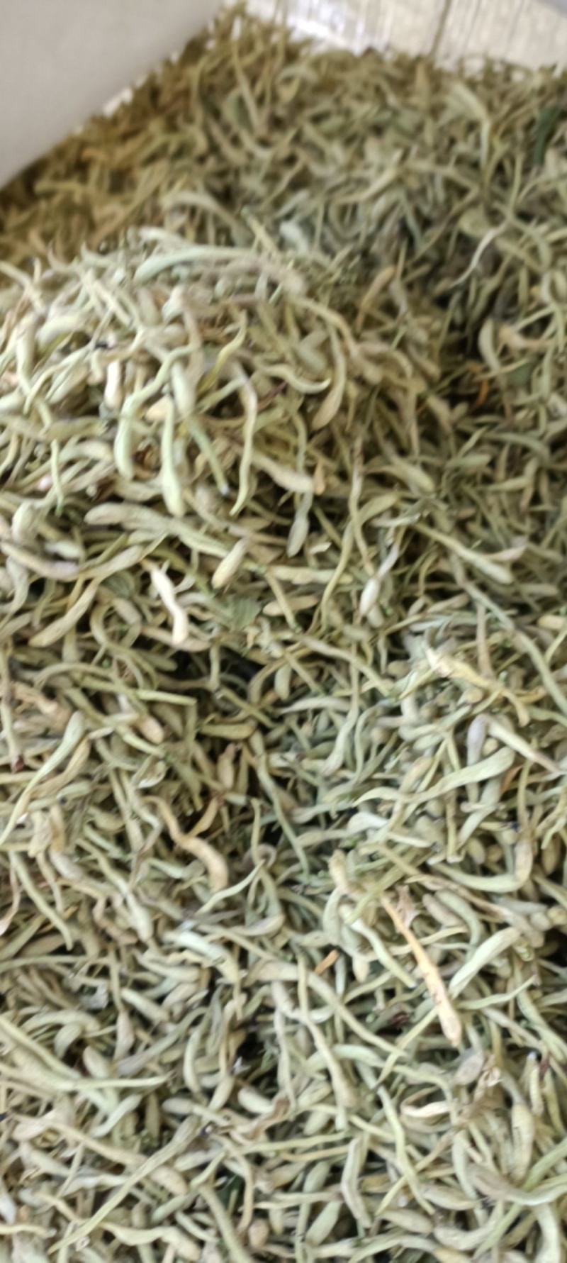 哪里产地的金银花最好,金银花哪里产的好