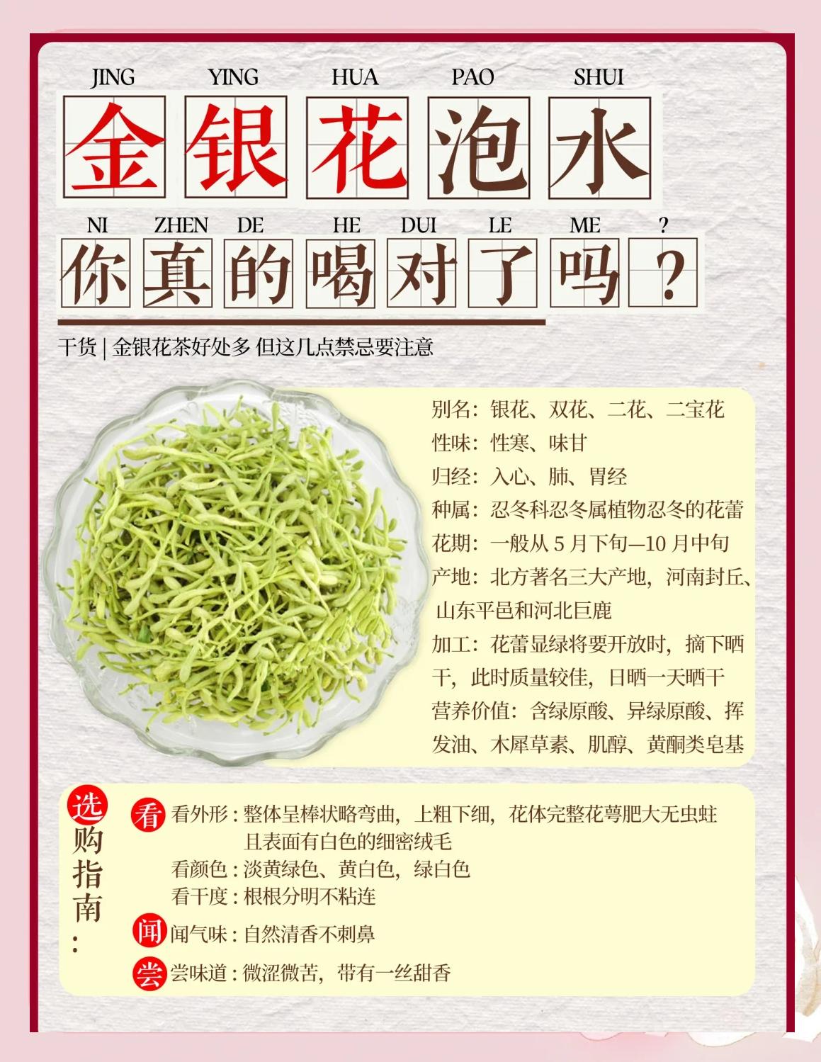 金银花茶泡水喝的功效与作用脂肪肝金银花茶对肝好吗