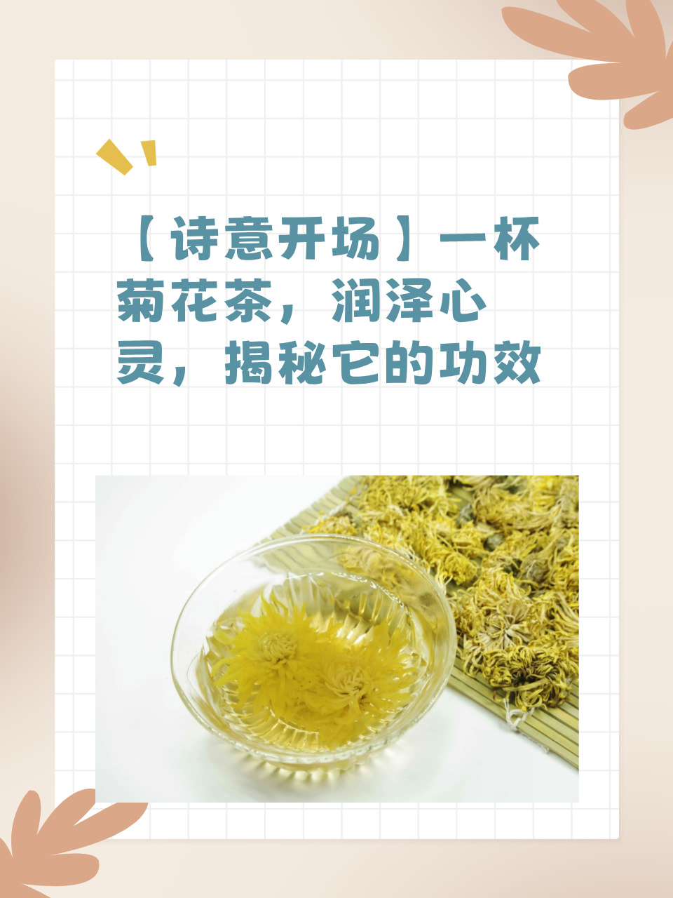 菊花茶的功效与作用儿童可以吃吗的简单介绍