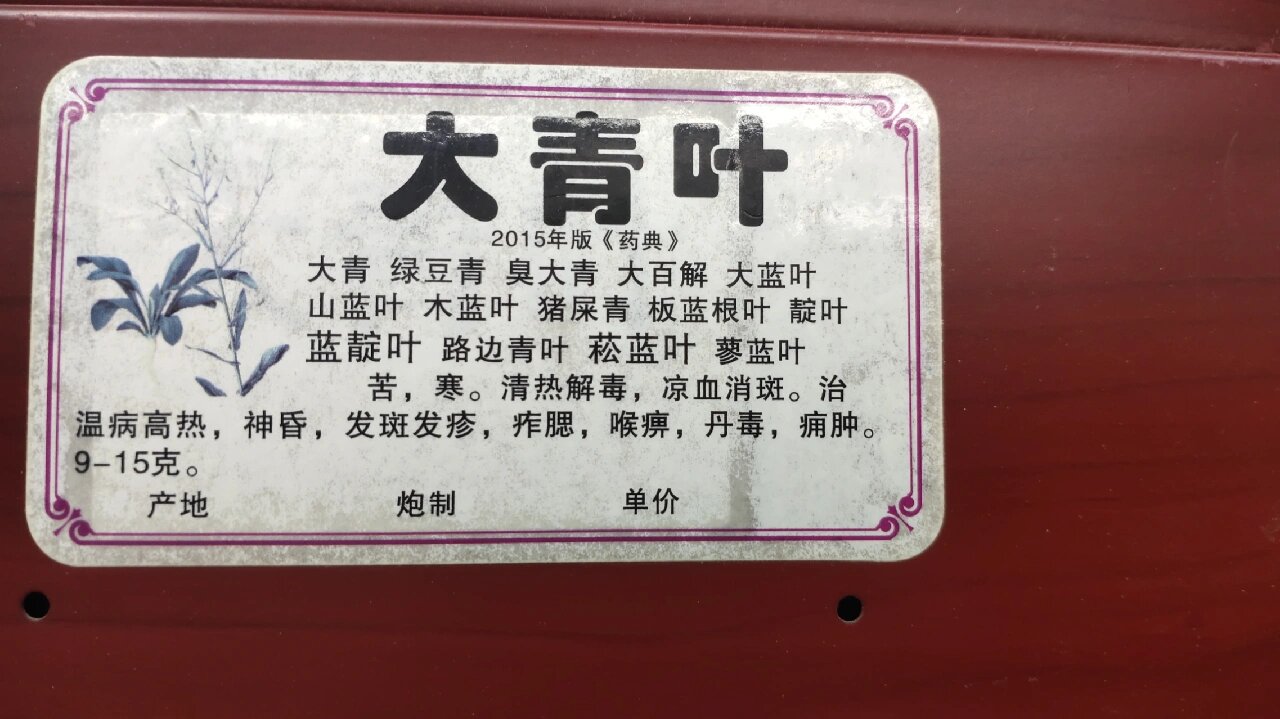 大青叶的作用与功效与作用是什么,大青叶的作用与功效