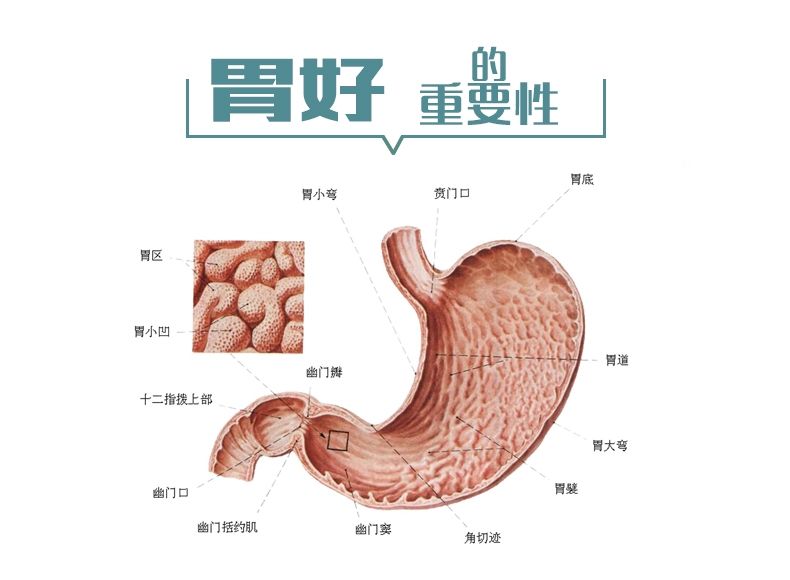 慢性胃肠炎的早期症状慢性肠胃炎