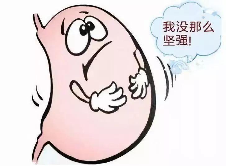 肠胃不好可以吃,肠胃不好可以吃什么蔬菜