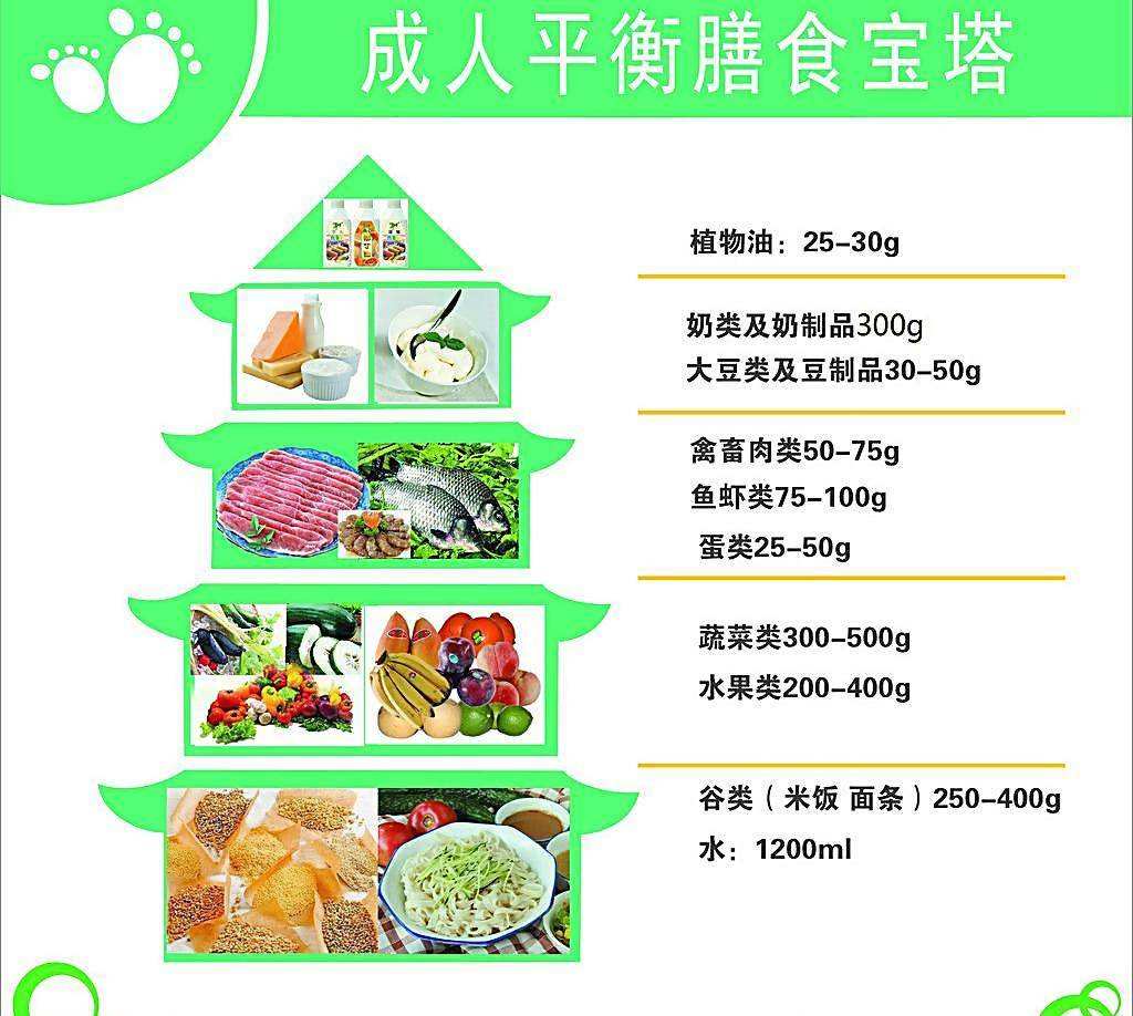 平衡膳食平衡膳食的原则有哪些