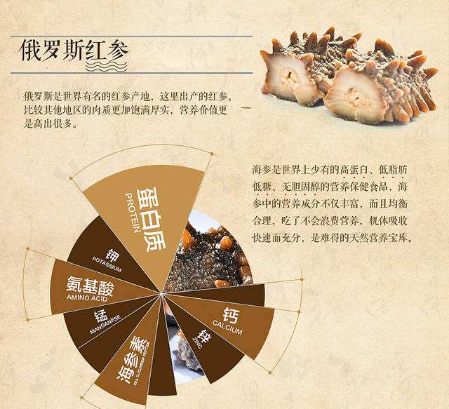 海参保健,海参的营养功效与作用