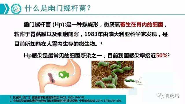 包含幽门螺旋杆菌做什么检查最准确的词条