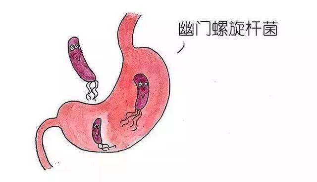 包含幽门螺旋杆菌治疗后多久复查的词条