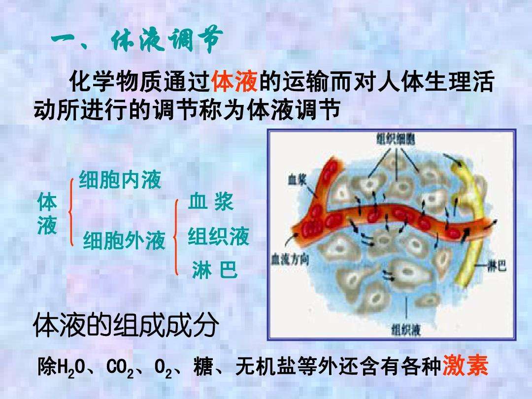 体液,体液德国百度网盘