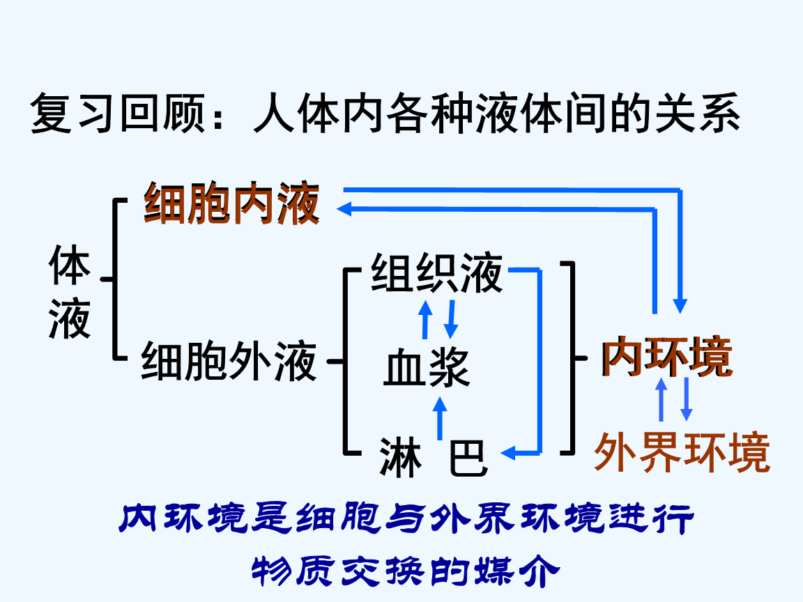 体液,体液德国百度网盘