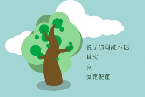 鲁豫减肥,杨丽萍鲁豫减肥